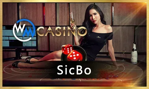 Jili7 Live Casino